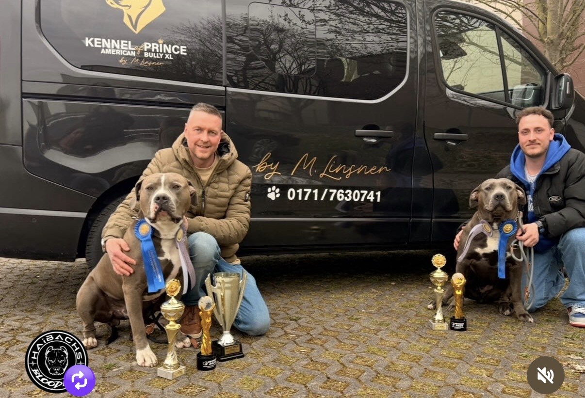 Kennel of Prince mit seinen American Bullys