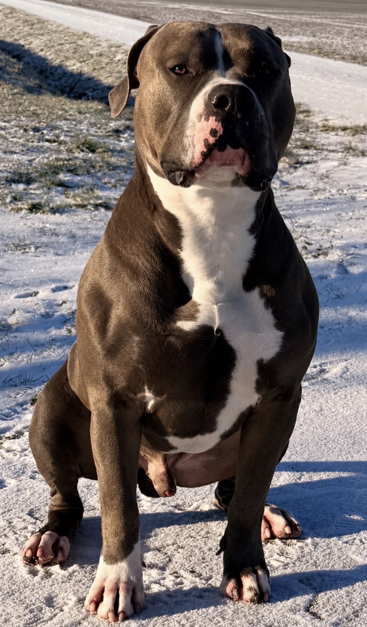 Prince im Schnee